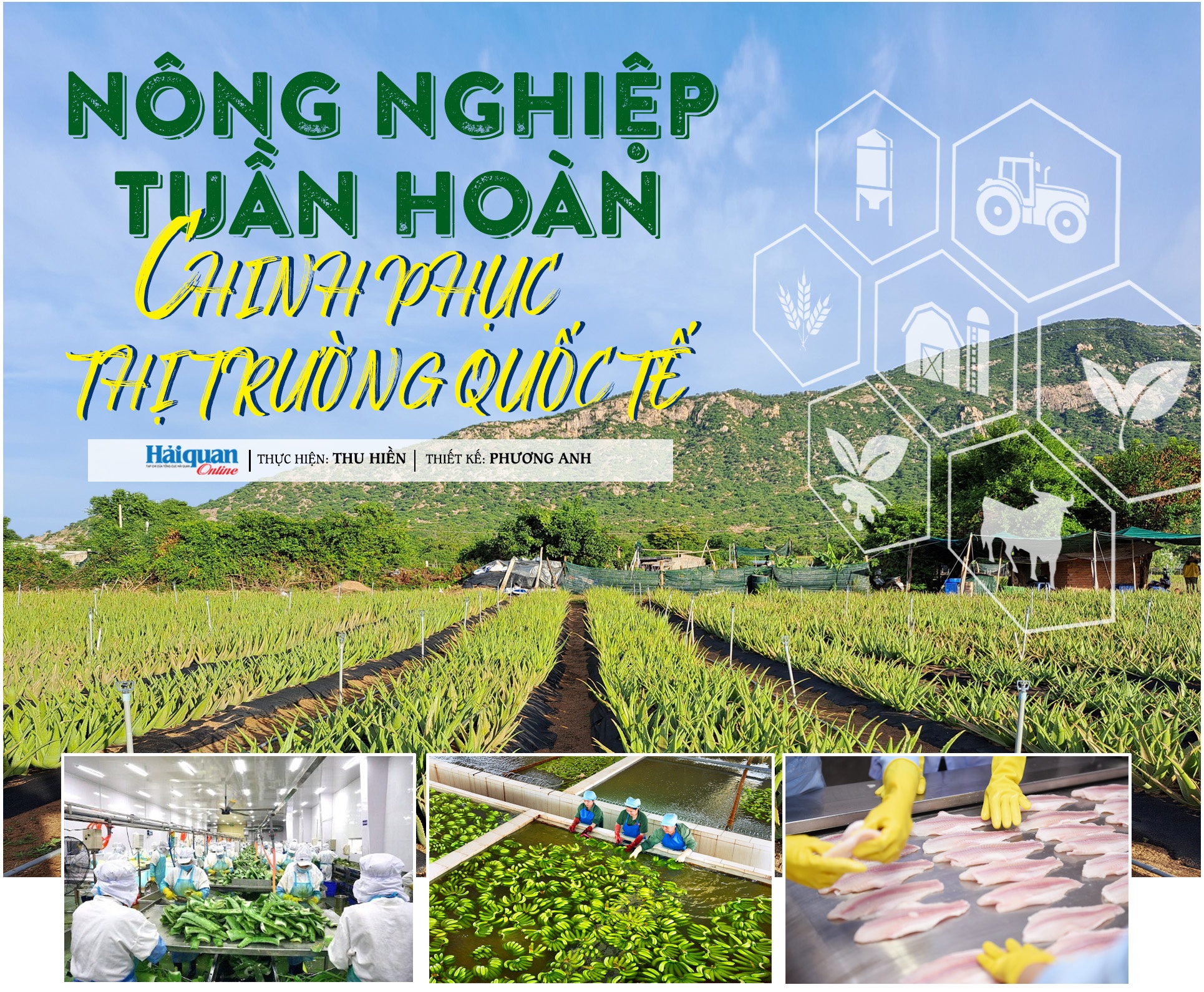 Nông nghiệp tuần hoàn chinh phục thị trường quốc tế Nông nghiệp tuần hoàn chinh phục thị trường quốc tế