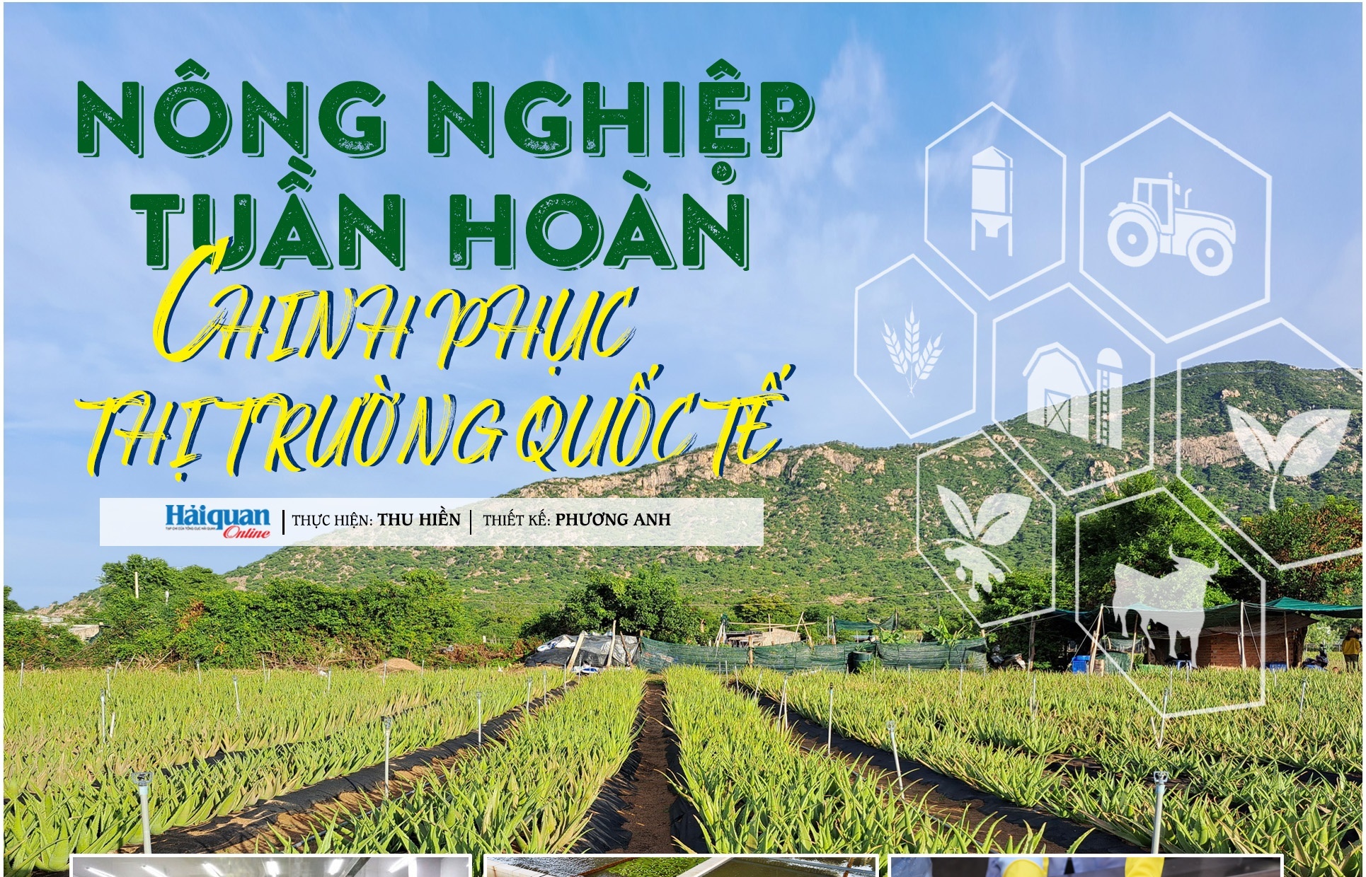 LONGFORM: Nông nghiệp tuần hoàn chinh phục thị trường quốc tế