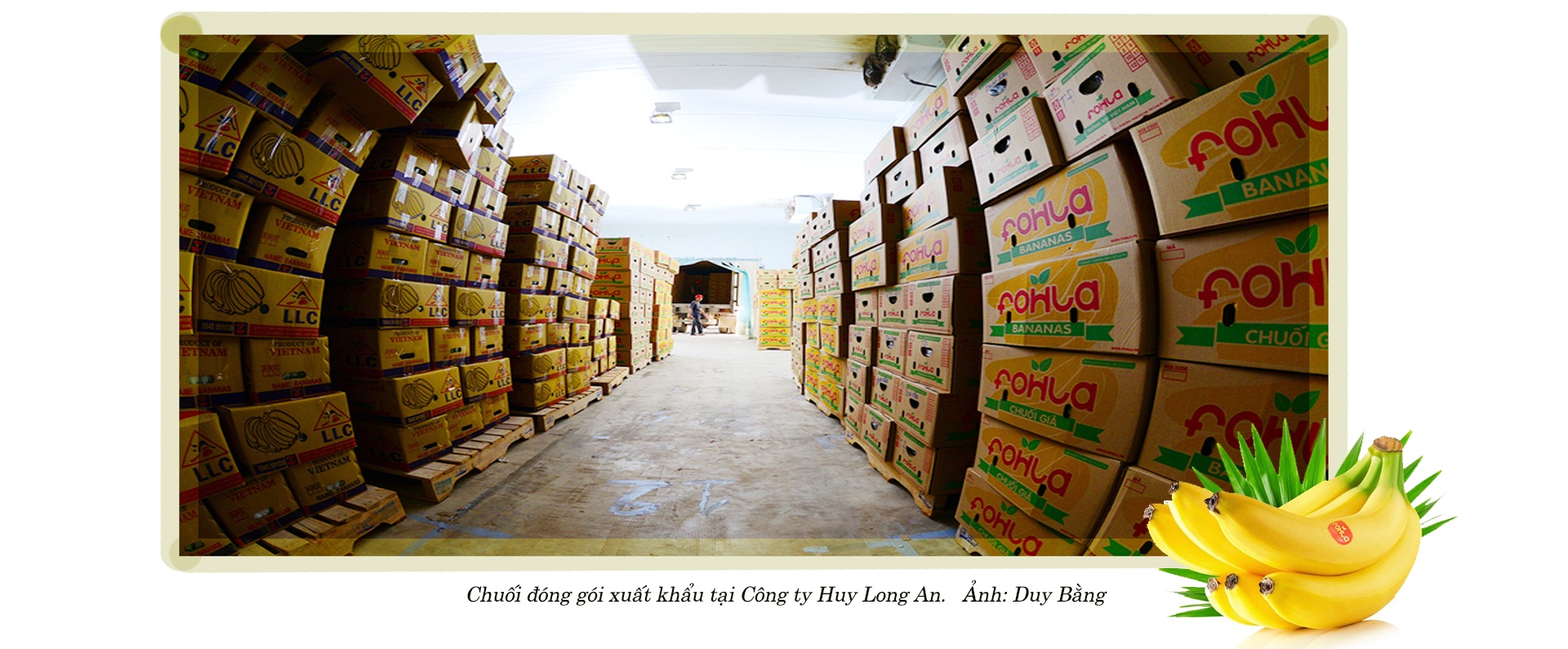 Nông nghiệp tuần hoàn chinh phục thị trường quốc tế Nông nghiệp tuần hoàn chinh phục thị trường quốc tế