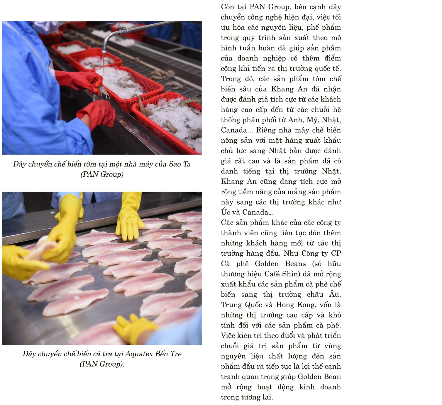 Nông nghiệp tuần hoàn chinh phục thị trường quốc tế Nông nghiệp tuần hoàn chinh phục thị trường quốc tế