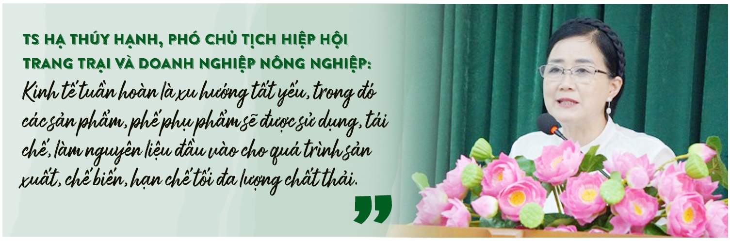 Nông nghiệp tuần hoàn chinh phục thị trường quốc tế Nông nghiệp tuần hoàn chinh phục thị trường quốc tế