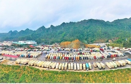 Hải quan với nhiều giải pháp triển khai thu ngân sách ở chặng nước rút