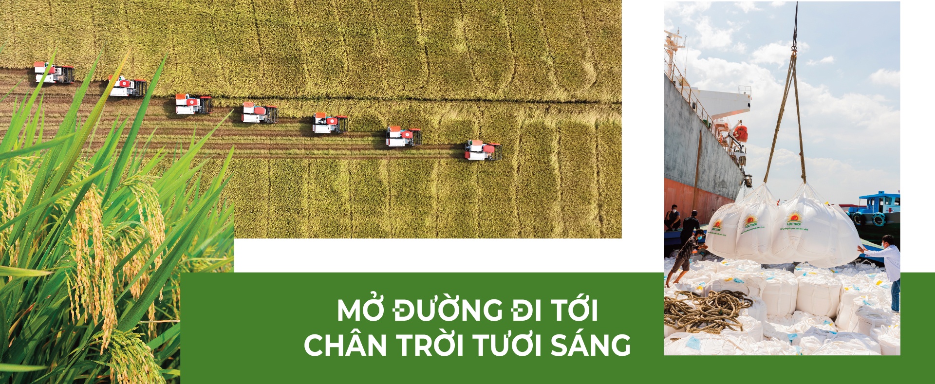 LONGFORM: Đường lớn đã mở tiếp tục đưa lúa gạo Việt Nam chiếm lĩnh thế giới