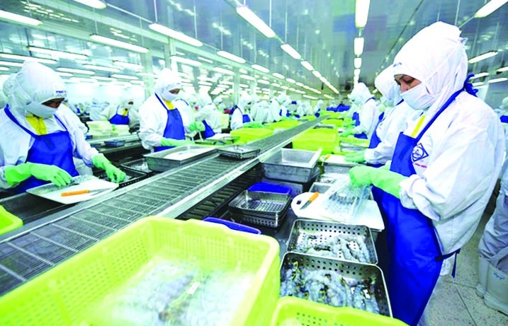 Xuất khẩu thuỷ sản tới các thị trường chủ lực tiếp tục tăng trưởng