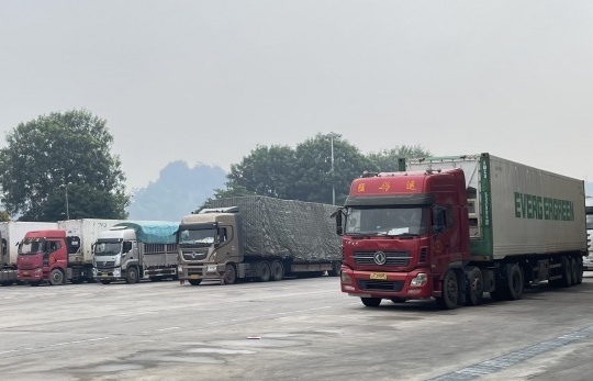 Những nhóm hàng nhập khẩu nổi bật nửa đầu tháng 10/2025