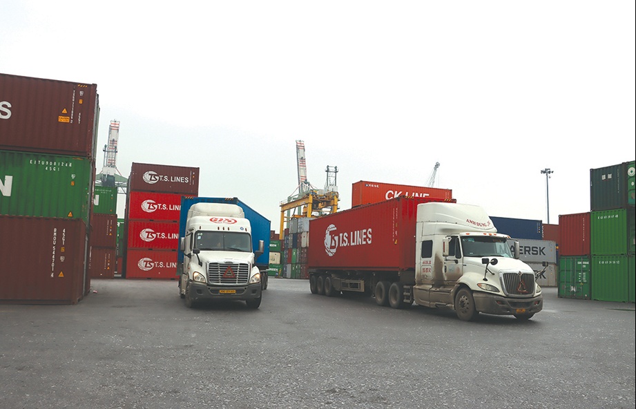 Dữ liệu nhập khẩu 15 ngày đầu tháng 11 từ thống kê hải quan