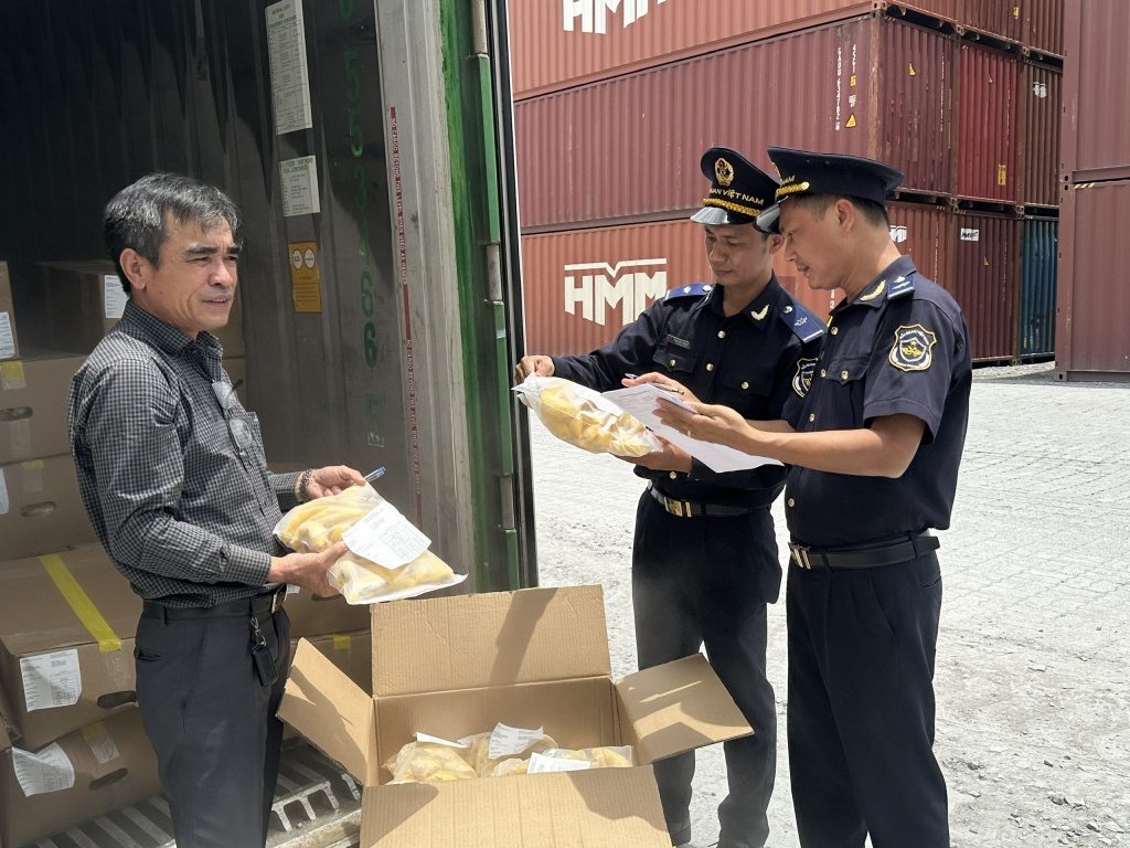 Công chức Hải quan cửa khẩu cảng Sài Gòn khu vực 1 kiểm tra sầu riêng xuất khẩu. Ảnh: T.H