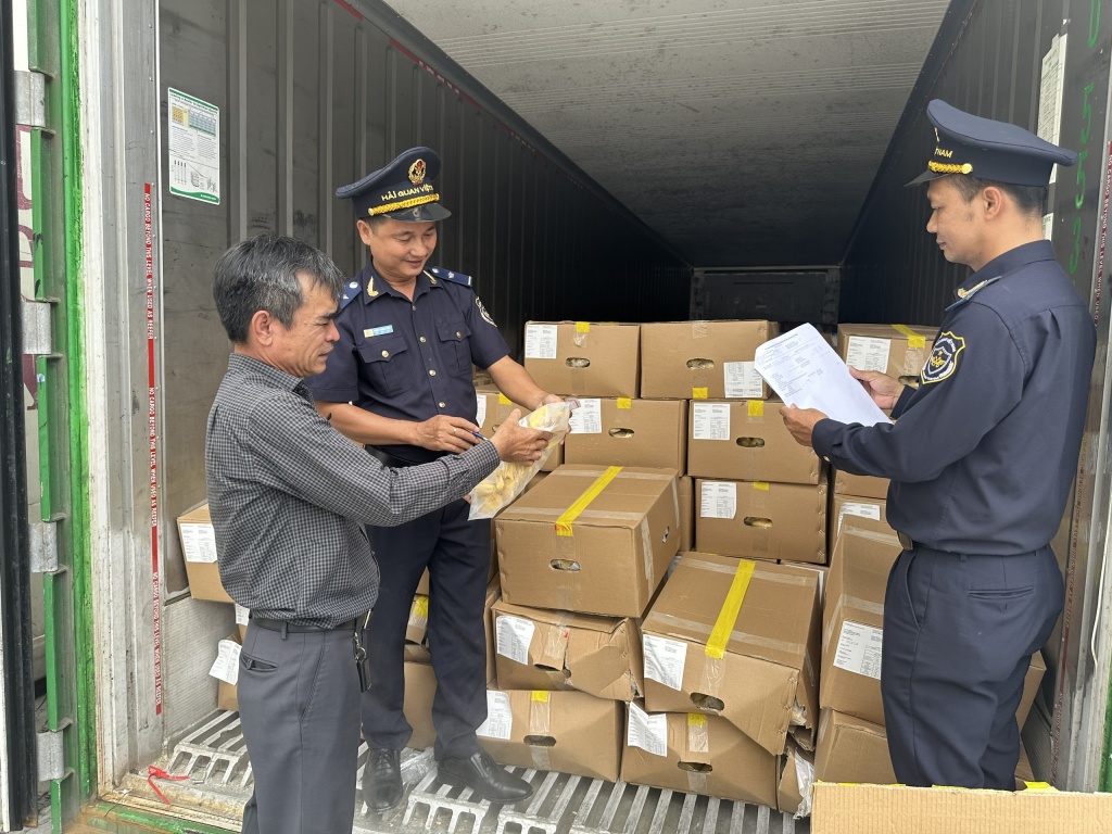 Công chức Hải quan cửa khẩu cảng Sài Gòn khu vực 1 kiểm tra sầu riêng xuất khẩu. Ảnh: T.H