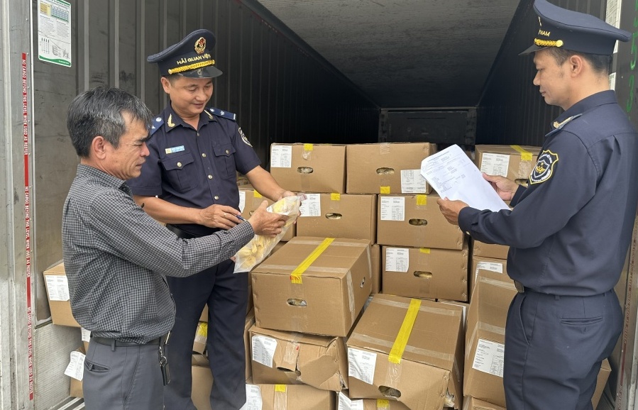 TP. Hồ Chí Minh: Các ngành cùng vào cuộc, thúc đẩy xuất khẩu