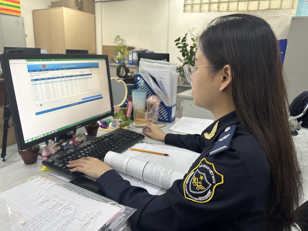 Hải quan khu vực II