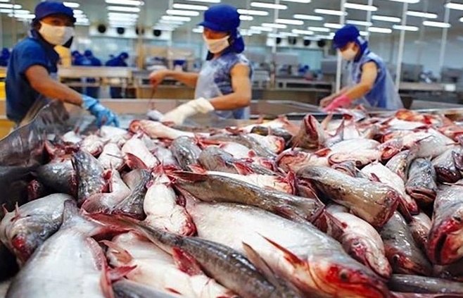 Xuất khẩu cá tra tháng 10 khởi sắc trở lại