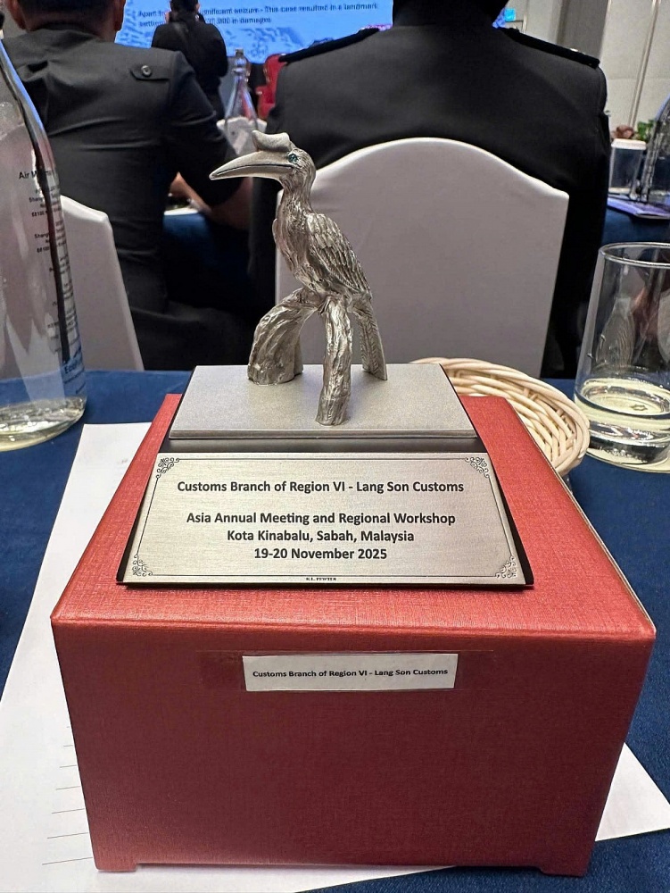 React đã vinh danh tập thể Chi cục Hải quan khu vực VI.