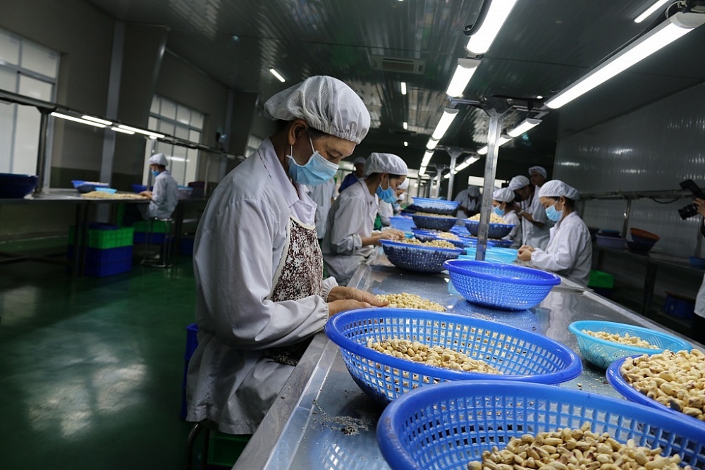 Podcast Hải quan Online tổng hợp tuần 4 tháng 7/2023 (từ ngày 24/7/2023 đến 30/7/2023)