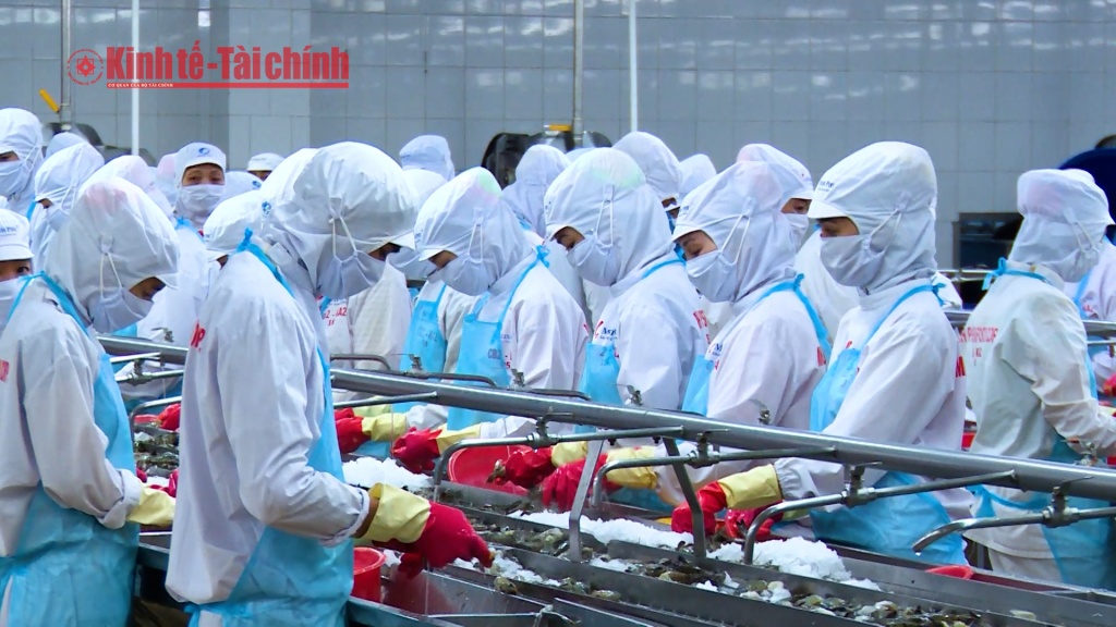 VIDEO: Xuất siêu tháng 5 đạt 4,67 tỷ USD: Chính sách xuất khẩu linh hoạt theo thị trường