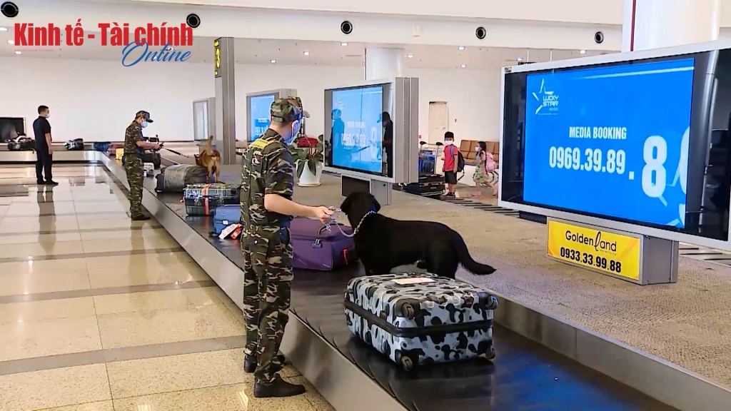 VIDEO: Siết chặt kiểm soát ma túy vận chuyển qua đường hàng không