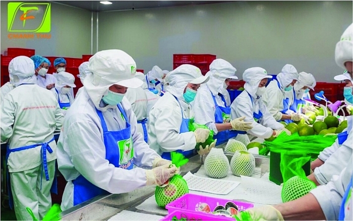 Podcast Hải quan Online tổng hợp tuần 2 tháng 3/2023 (từ ngày 6/3/2023 đến 12/3/2023)