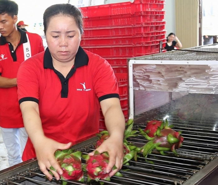 Podcast Hải quan Online tổng hợp tuần 3 tháng 3/2023 (từ ngày 13/3/2023 đến 19/3/2023)