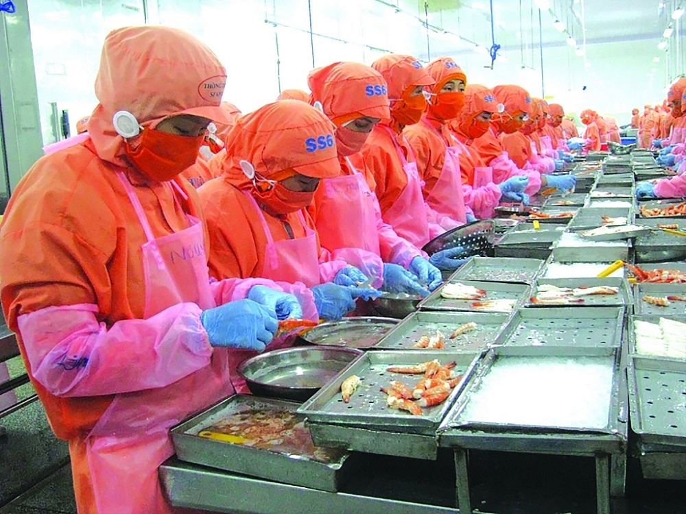 Podcast Hải quan Online tổng hợp tuần 5 tháng 10/2022 (từ ngày 24/10 đến 30/10)